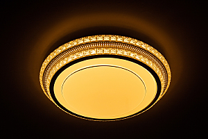 Светильник потолочный 10256 10256/S LED